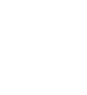 Behandeling / Begeleiding Individuele behandeling per 45 minuten Huiswerkbegeleiding in een groepje 2 dagdelen per week Huiswerkbegeleiding in een groepje 3 dagdelen per week 